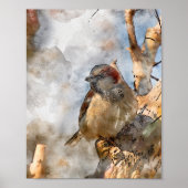 Poster d'oiseaux (Devant)