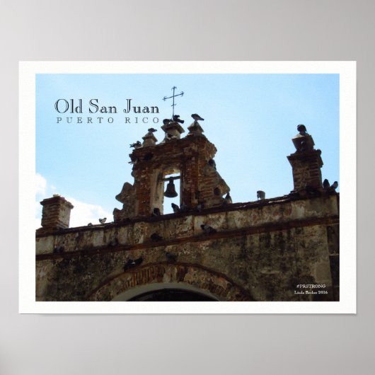 Poster d'oiseaux au Vieux San Juan Porto Rico (Devant)