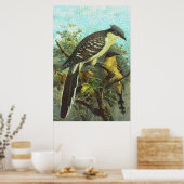 Poster d'Oiseaux de Cucco (Cuisine)