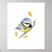 Poster d'oiseaux en filet bleu Imprimer (Devant)