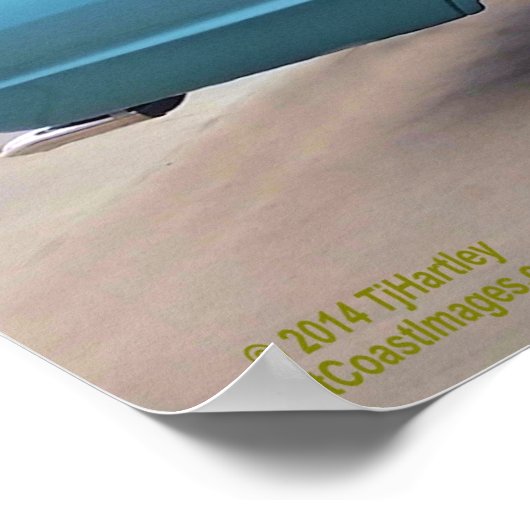 POSTER D'OISEAUX EN T 1965 (Coin)