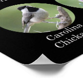 Poster d'oiseaux jardins (Coin)