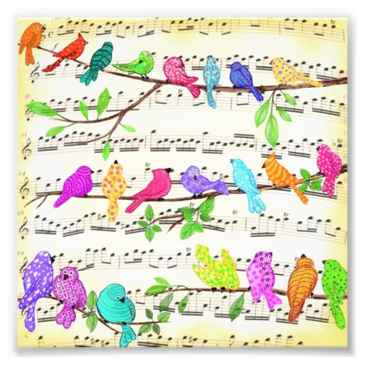 Poster d'oiseaux musicaux colorés (Devant)