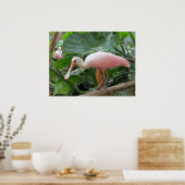 Poster d'oiseaux roses tropicaux (Cuisine)