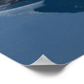 Poster dolfijn (Hoek)