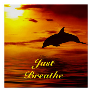 Poster dolfijn perfect poster