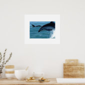 Poster dolfijnen (Keuken)