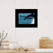 Poster dolfijnen (Keuken)