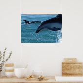 Poster dolfijnen (Keuken)