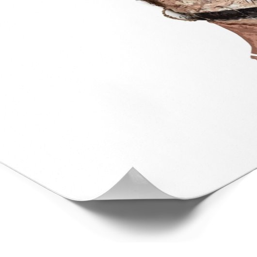 POSTER DOLL VOODOO (Coin)