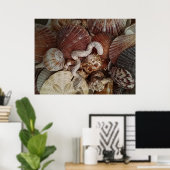 Poster Dollar de sable des coquillages Abstraits (Bureau à domicile)