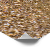 Poster Dollar De Sable Révélé Sur La Plage | Hilton Head  (Coin)