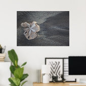 Poster Dollar de sable sur sable (Bureau à domicile)