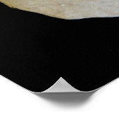 Poster Dollar du sable (Coin)