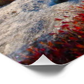 Poster Dolly Sods Wilderness Tombe Pittoresque Avec Fog (Coin)