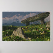 Poster Dolmen (Devant)