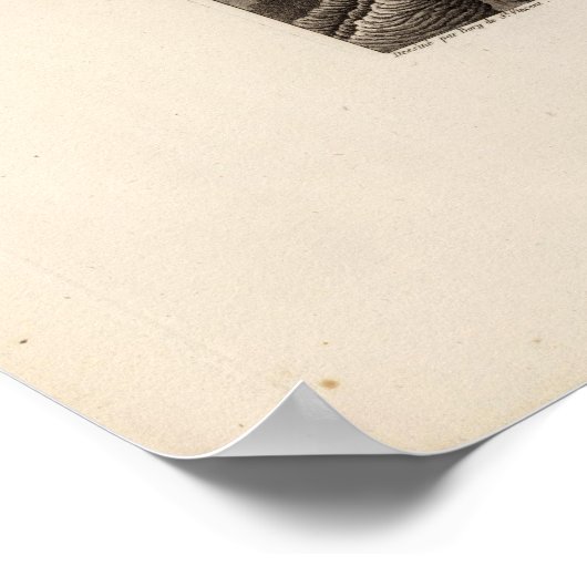 Poster Dolomieu (Coin)