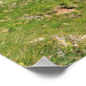 Poster Dolomiti - col de Fedaia avec lac (Coin)