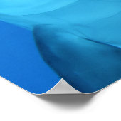 Poster Dolphin (Coin)