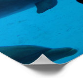 Poster Dolphin and Ocean "Never Stop Wondering" (Coin)