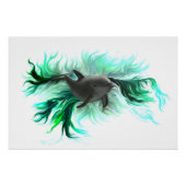 Poster Dolphin Baby (Devant)