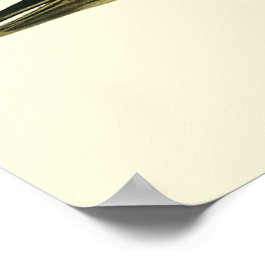 Poster Dolphin Delphinus Delphis, Mammifères marins Vinta (Coin)