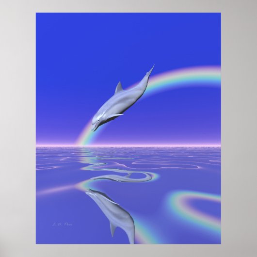 Poster Dolphin Download (Devant)