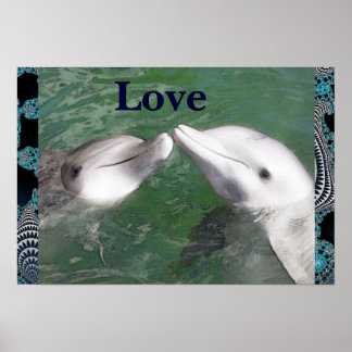 Poster Dolphin Love