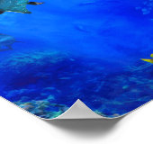 Poster Dolphin World WIND (Coin)