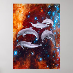 Poster Dolphins étoilés
