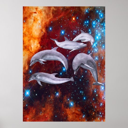 Poster Dolphins étoilés (Devant)