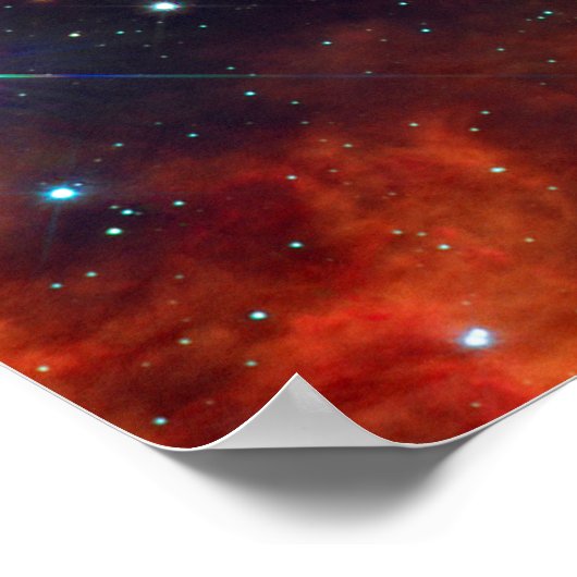 Poster Dolphins étoilés (Coin)