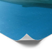 Poster Dolphins Kiss (Coin)