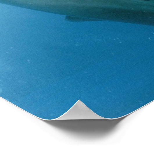 Poster Dolphins Kiss (Coin)