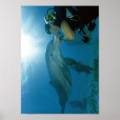 Poster Dolphins Kiss (Devant)