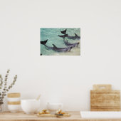 Poster Dolphins, Sea World, Gold Coast, Queensland, (Cuisine)