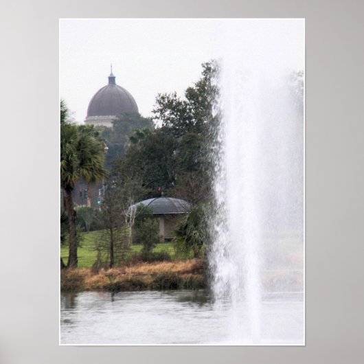 Poster Domes Dans Le Parc (Devant)