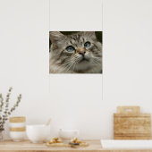 Poster Domestic cat (Cuisine)
