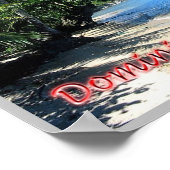 Poster Dominique - (Coin)