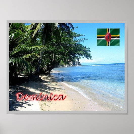 Poster Dominique - (Devant)