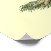 Poster Dominique Chickens (Coin)