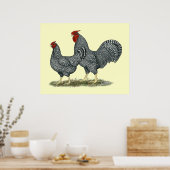 Poster Dominique Chickens (Cuisine)