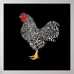 Poster Dominique Rooster