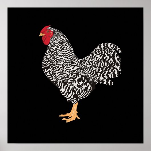 Poster Dominique Rooster (Devant)