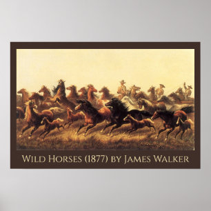 Poster Domptage de chevaux sauvages par James Walker