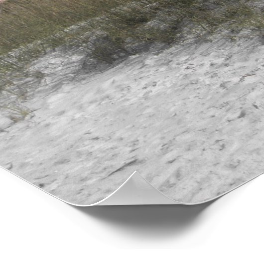 Poster Don CeSar vintage (Coin)