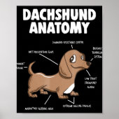 Poster Don de chien | Anatomie Dachshund Funny Weiner (Devant)