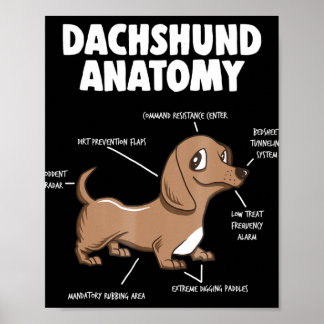 Poster Don de chien | Anatomie Dachshund Funny Weiner