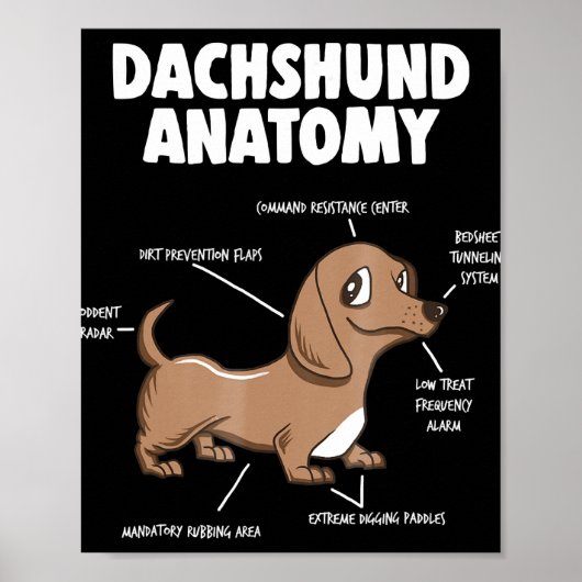 Poster Don de chien | Anatomie Dachshund Funny Weiner (Devant)