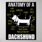 Poster Don de chien | Anatomie De Dachshund (Devant)